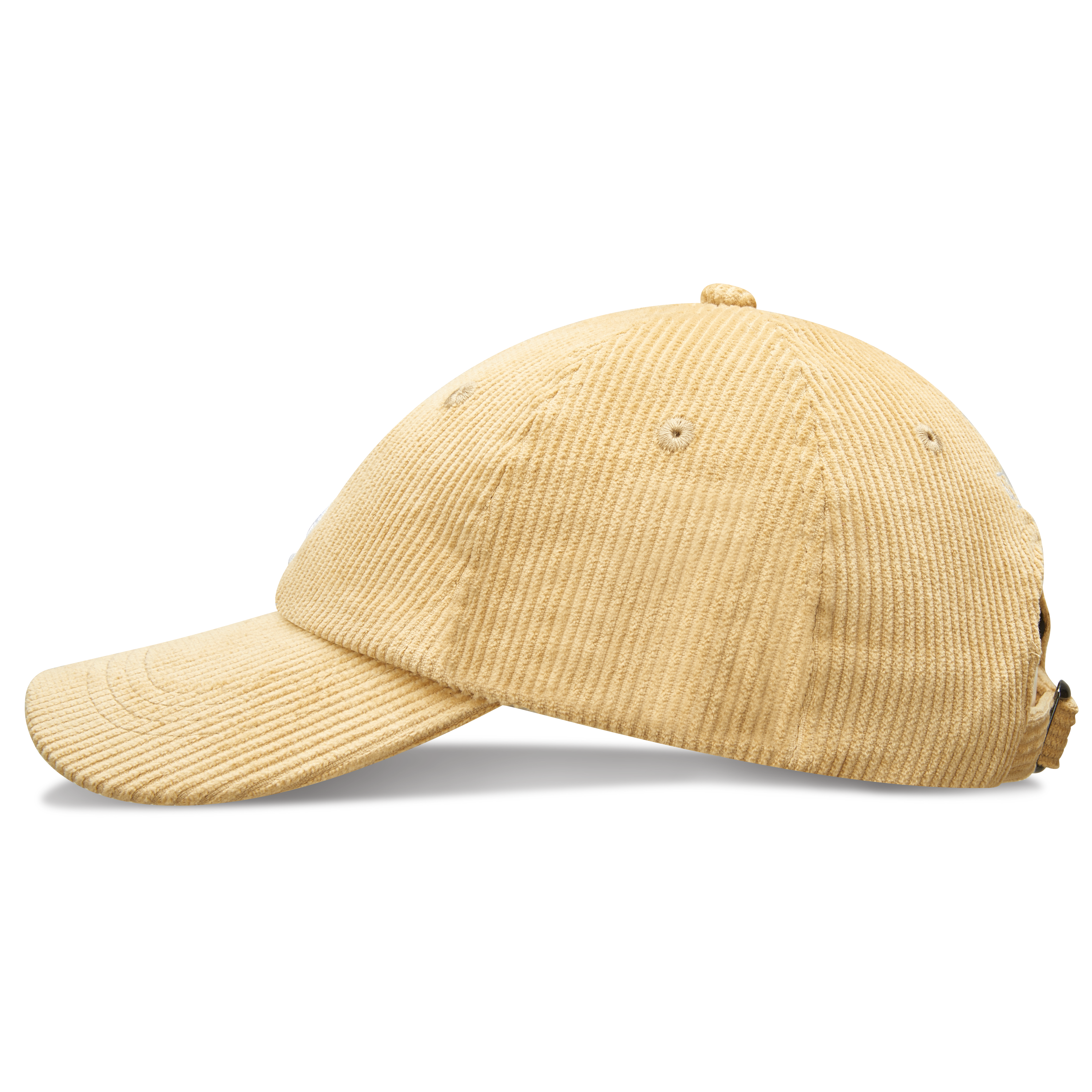 Mosh Lola pana camel