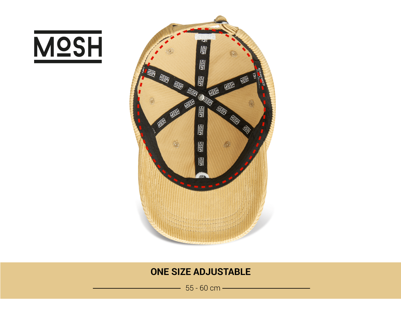 Mosh Lola pana camel
