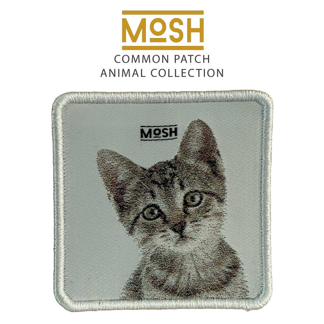 Parche Cachorro Gato Común Mosh: Adaptabilidad y Sabiduría Diaria